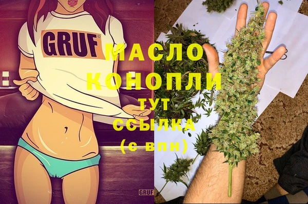 индика Балахна